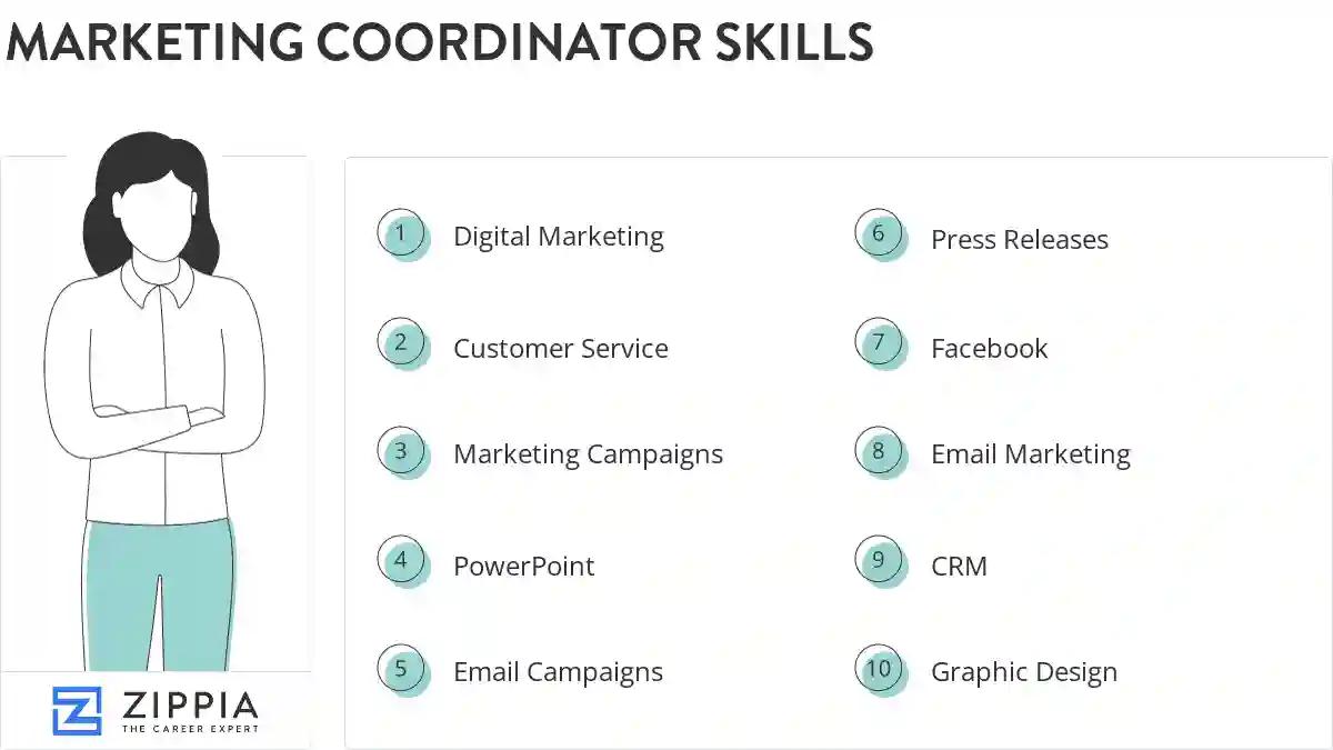 Marketing coordinator skills