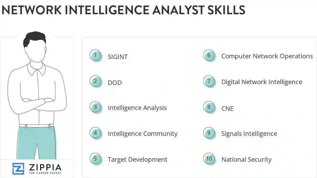 Network intelligence analyst skills