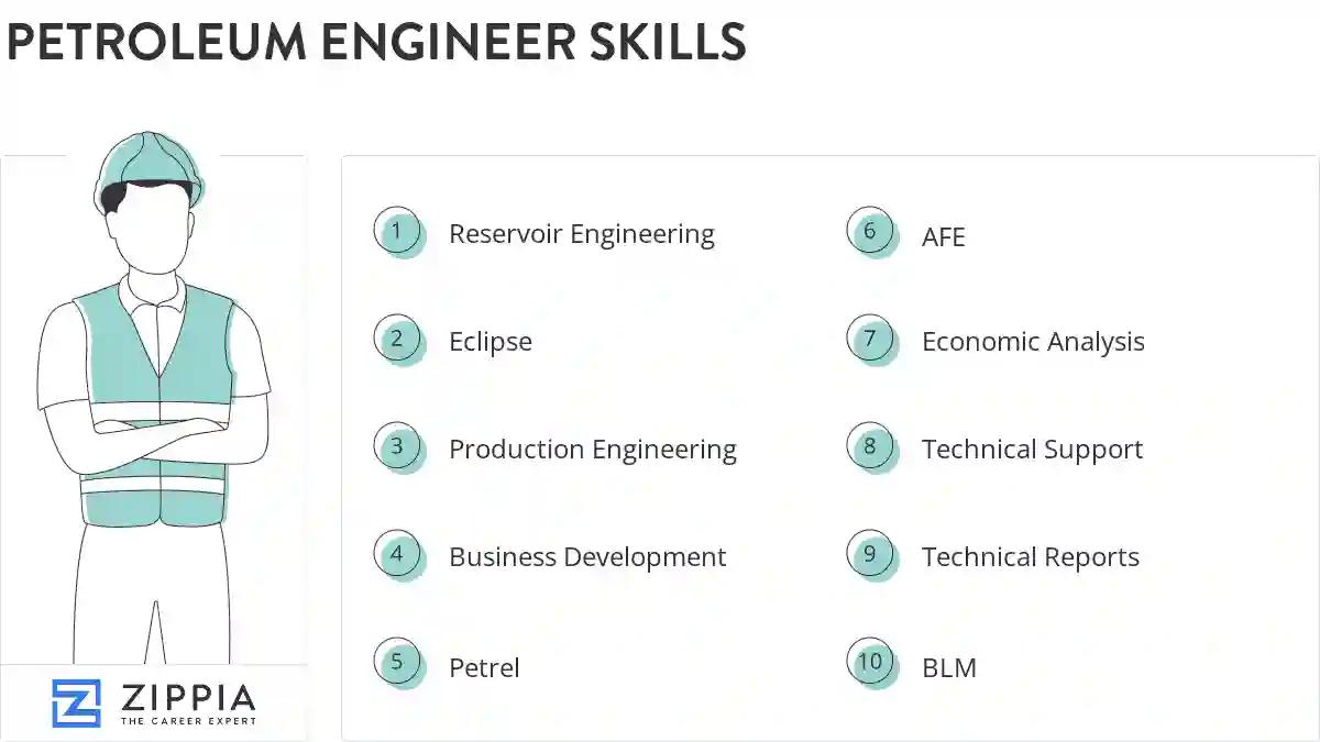 Petroleum engineer skills