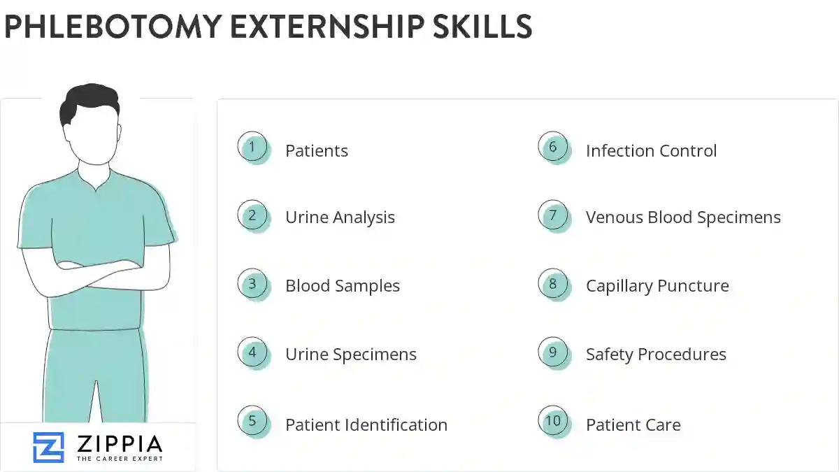 Phlebotomy externship skills