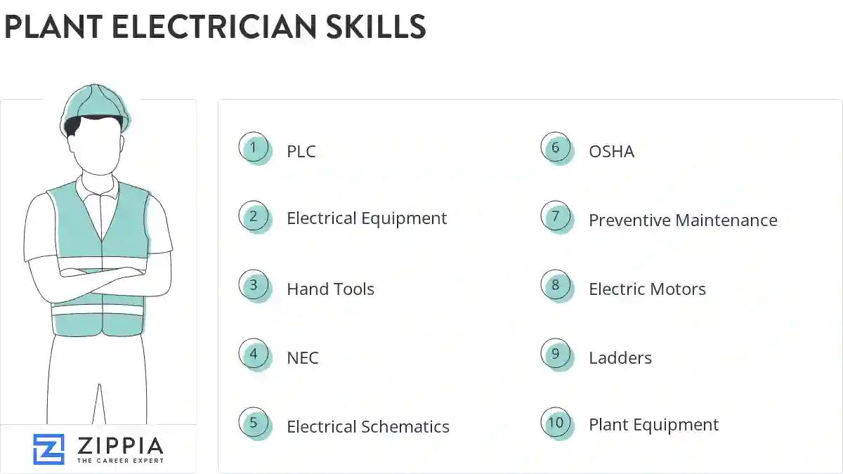 Plant electrician skills