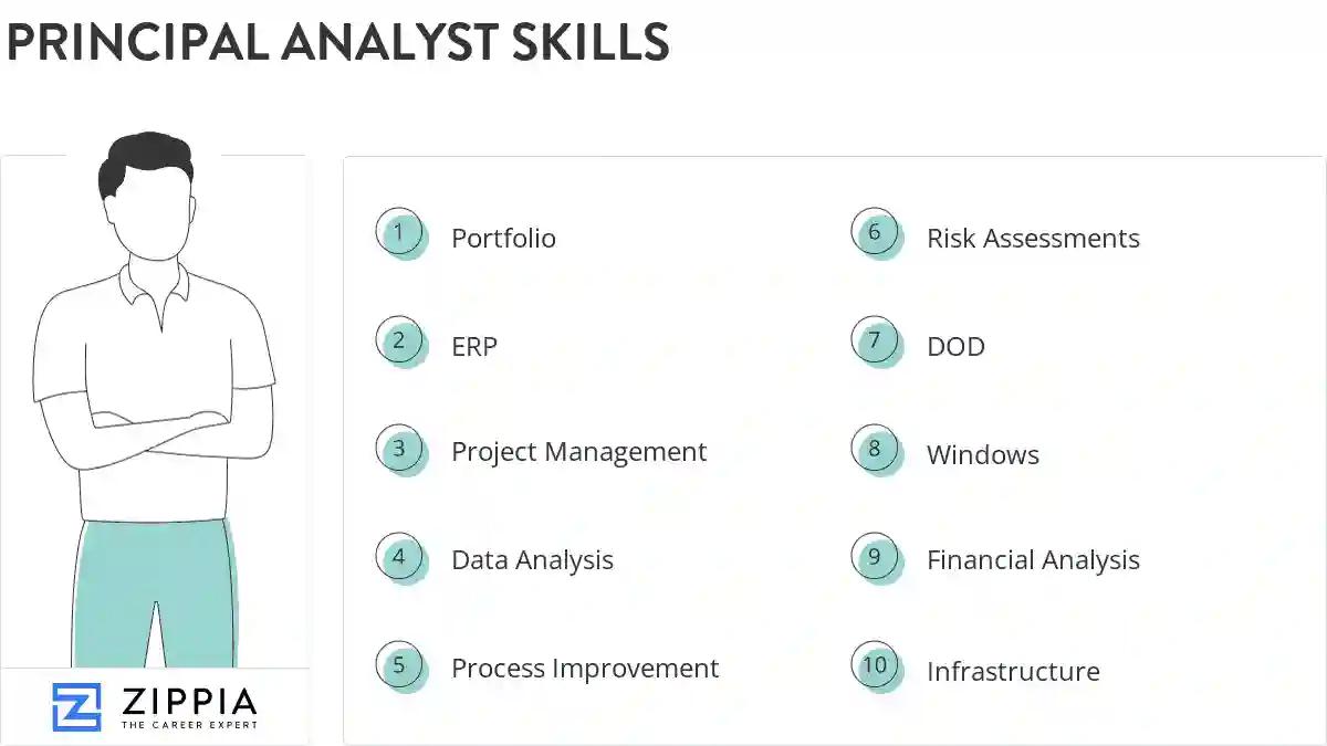 Principal analyst skills