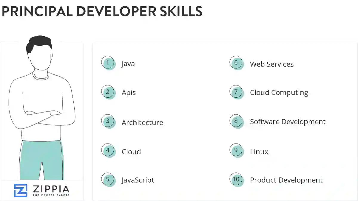 Principal developer skills