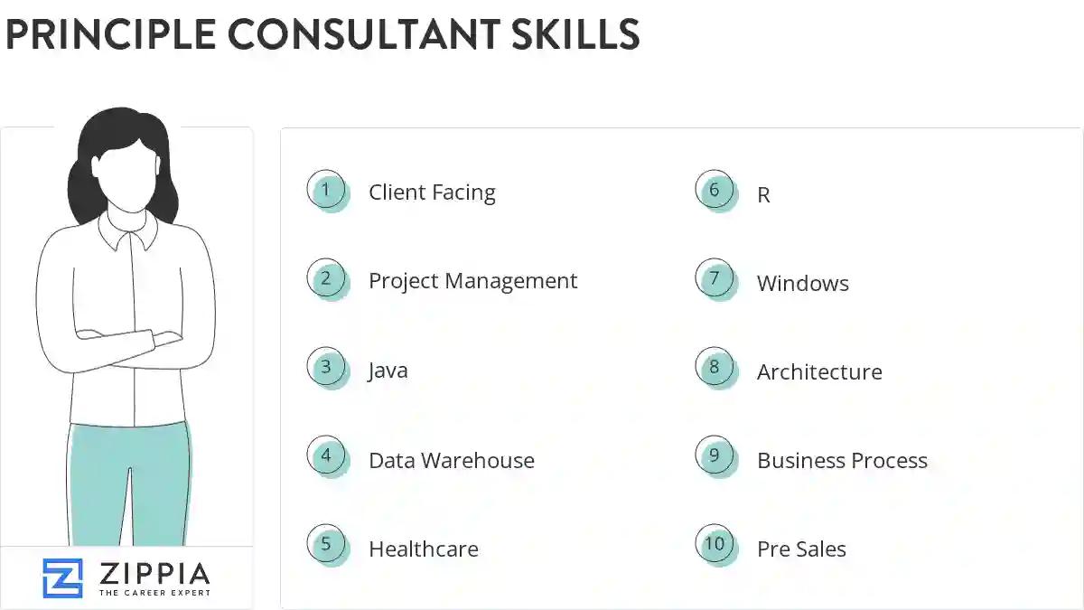 Principle consultant skills