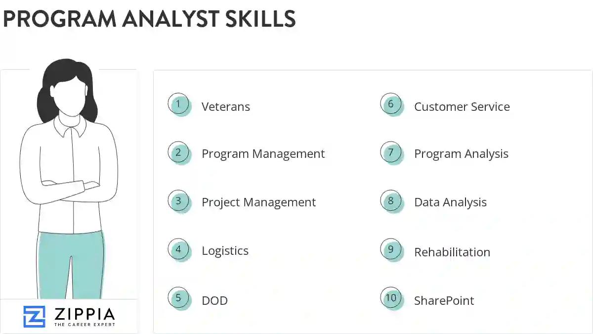 Program analyst skills