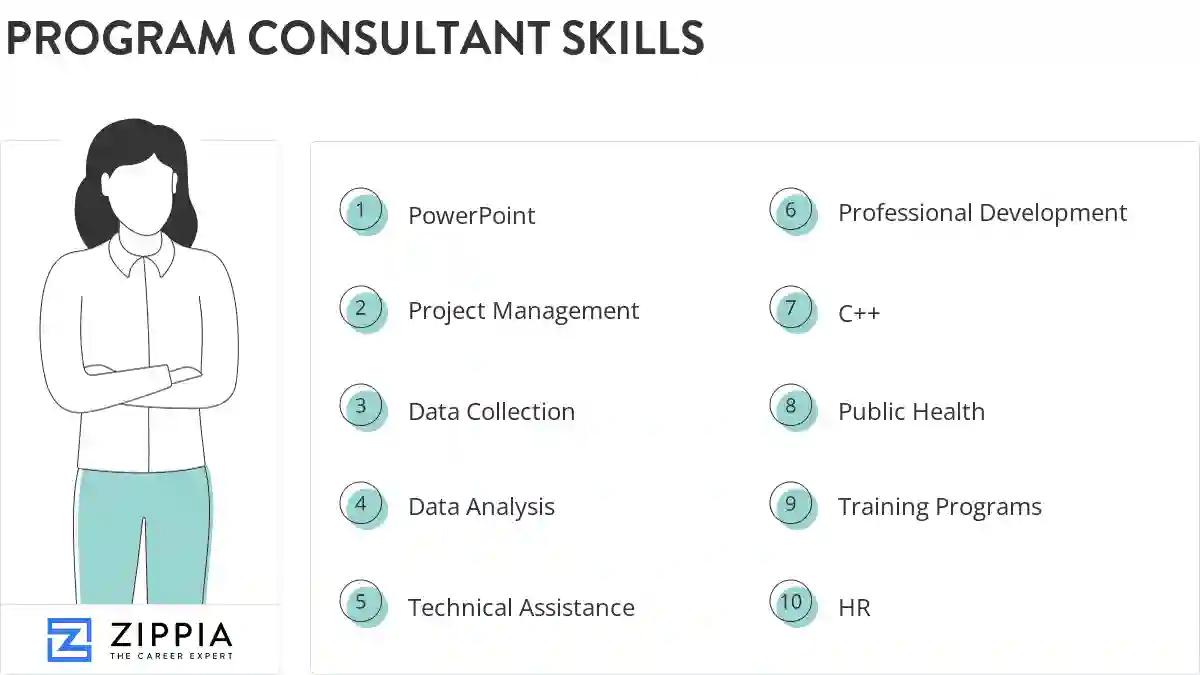 Program consultant skills