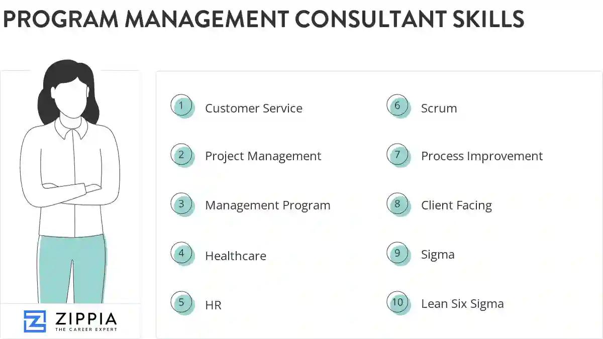 Program management consultant skills
