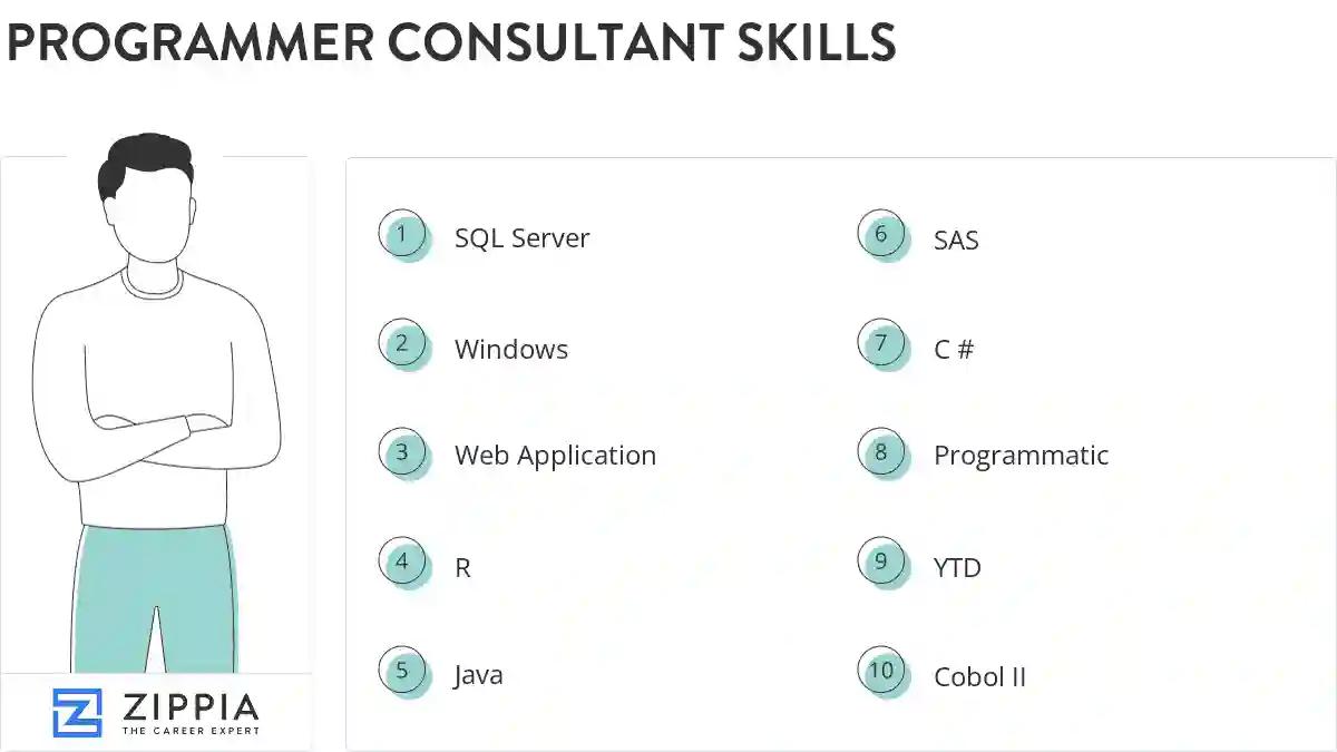 Programmer consultant skills