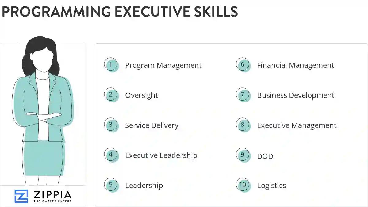 Programming executive skills
