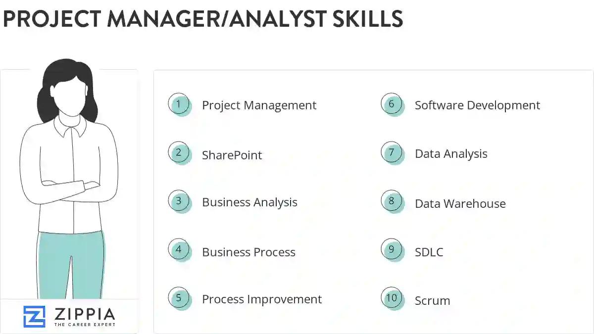 Project manager/analyst skills