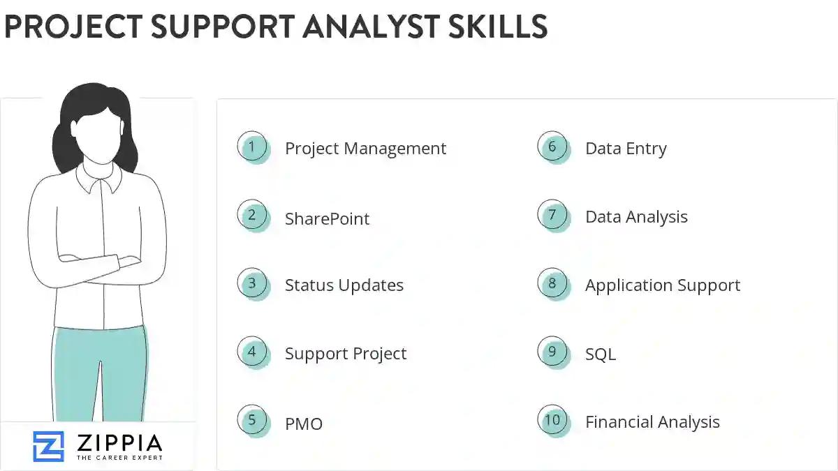 Project support analyst skills