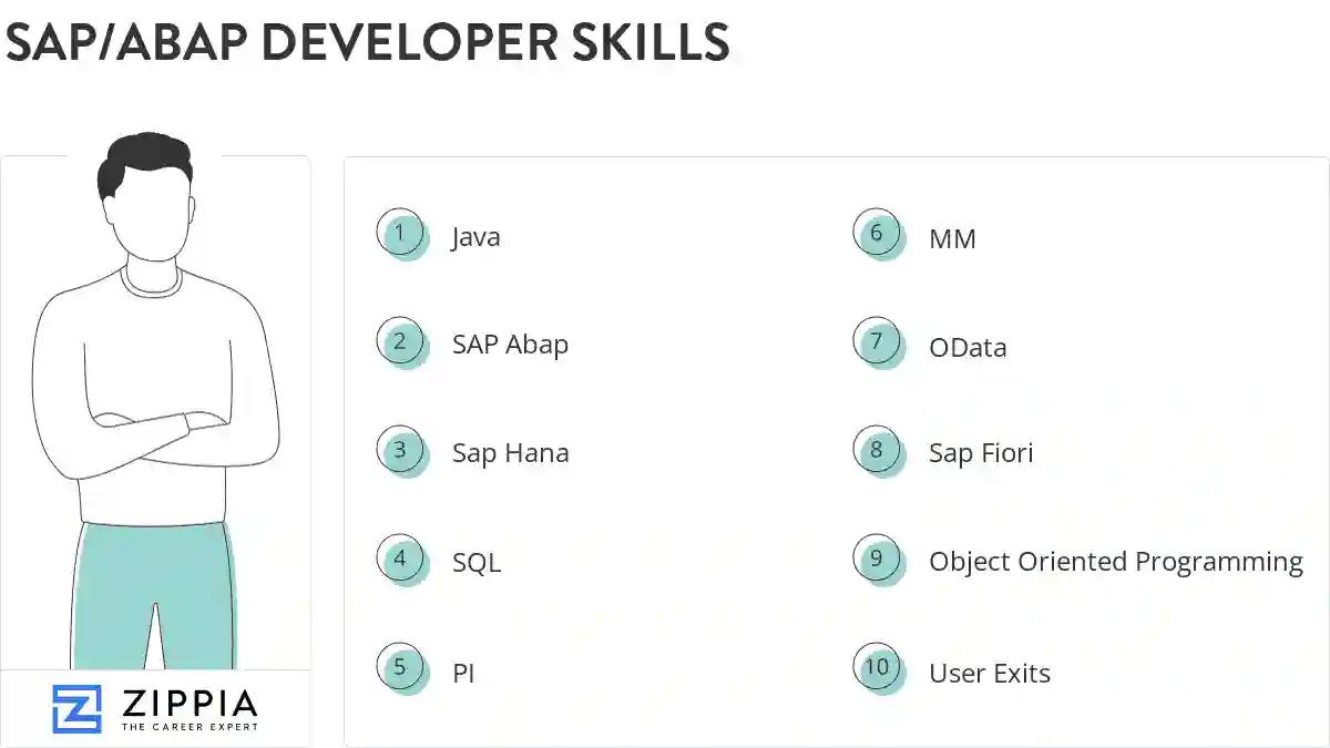 Sap/abap developer skills