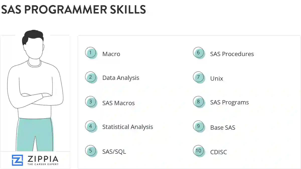 Sas programmer skills
