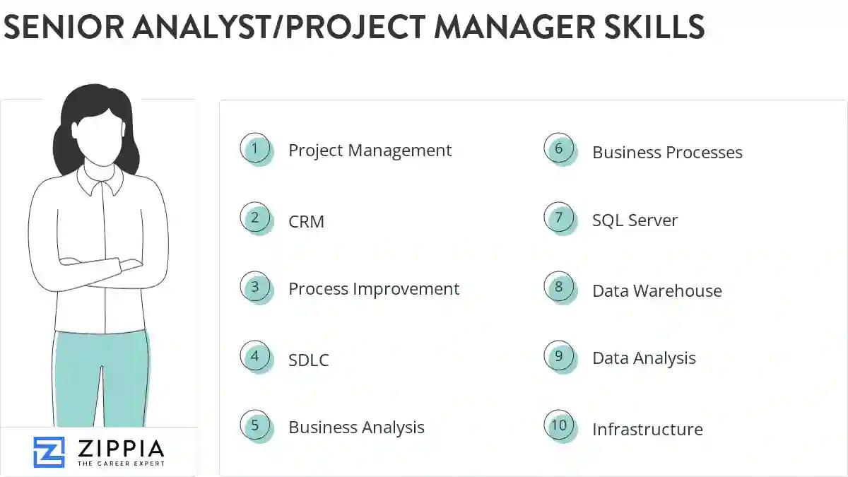 Senior analyst/project manager skills