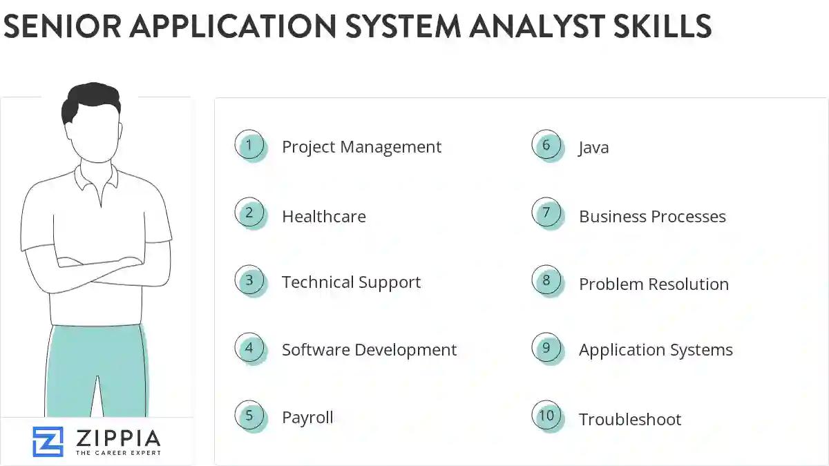 Senior application system analyst skills