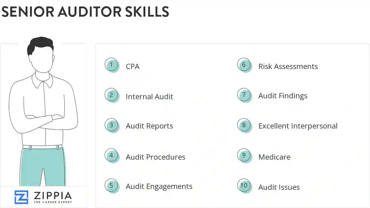 Senior auditor skills
