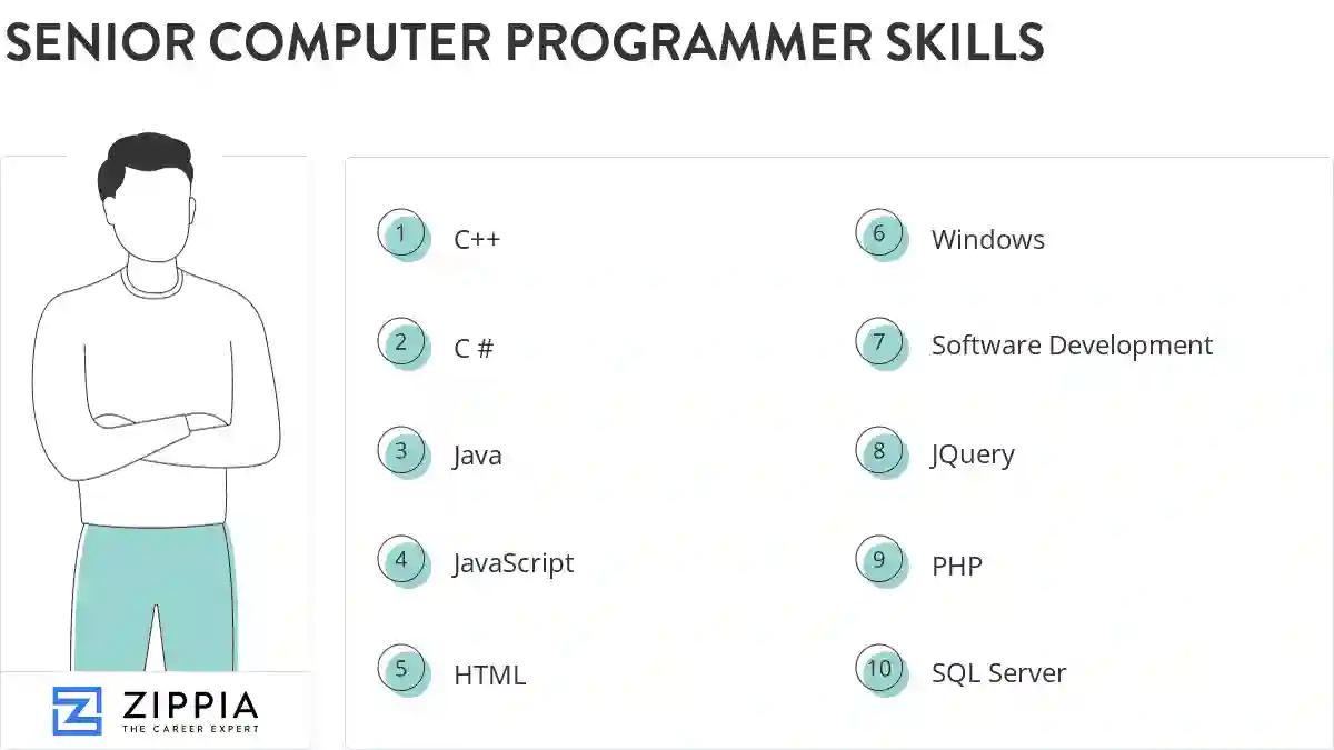 Senior computer programmer skills