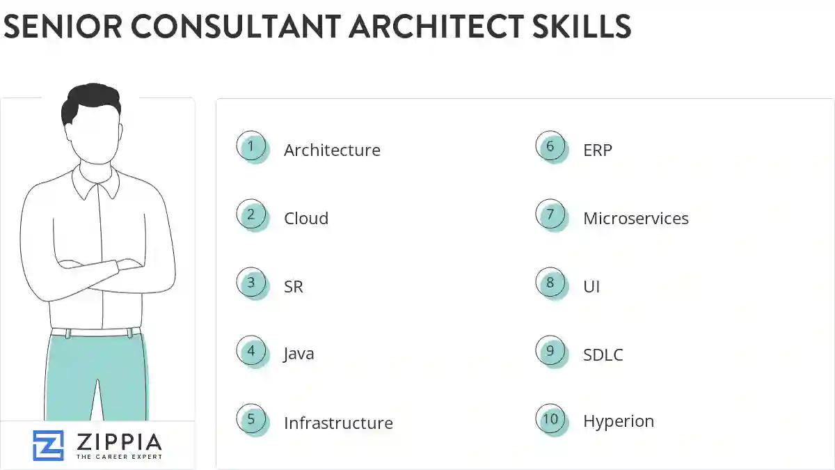Senior consultant architect skills