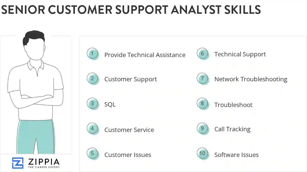 Senior customer support analyst skills