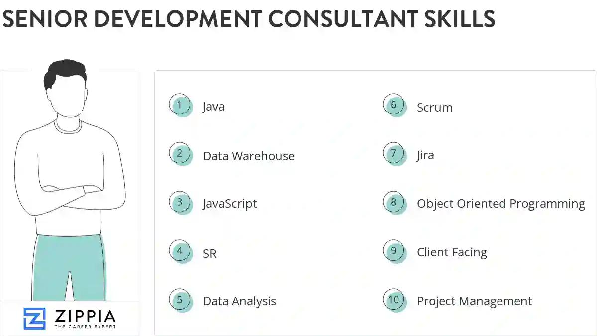 Senior development consultant skills
