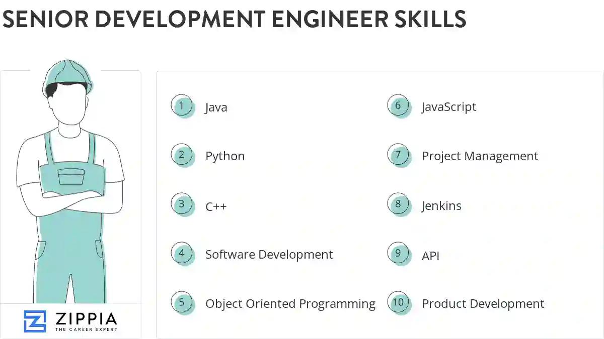 Senior development engineer skills