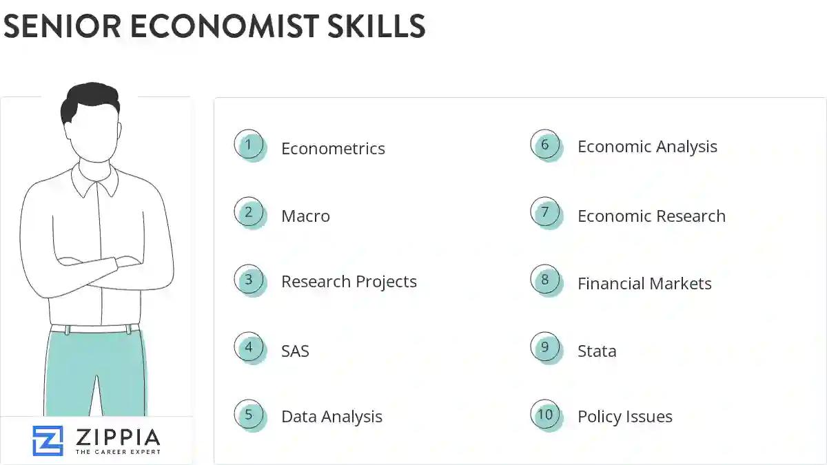 Senior economist skills