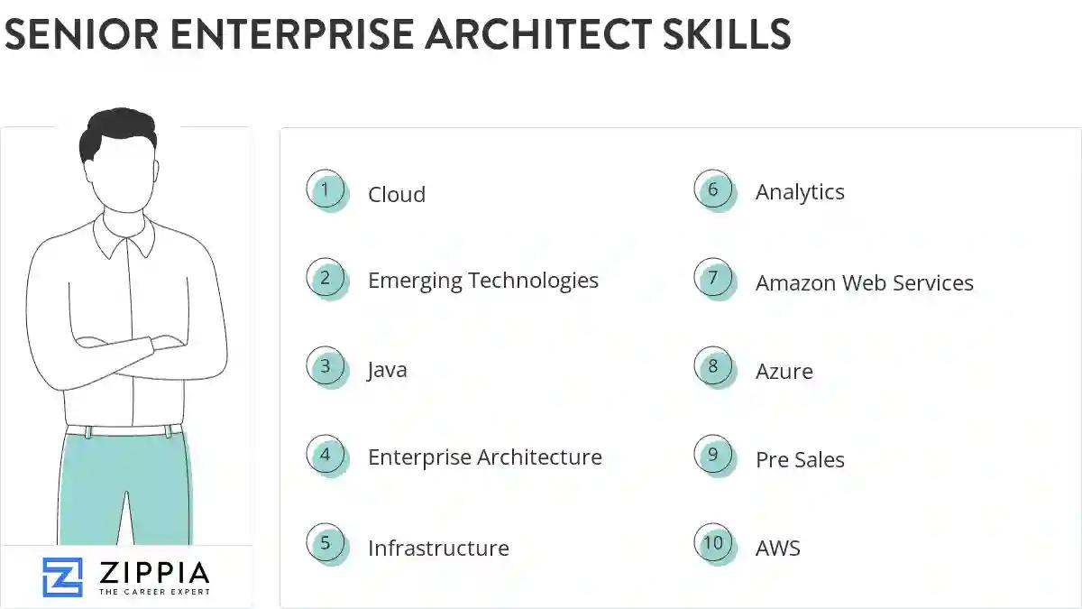 Senior enterprise architect skills