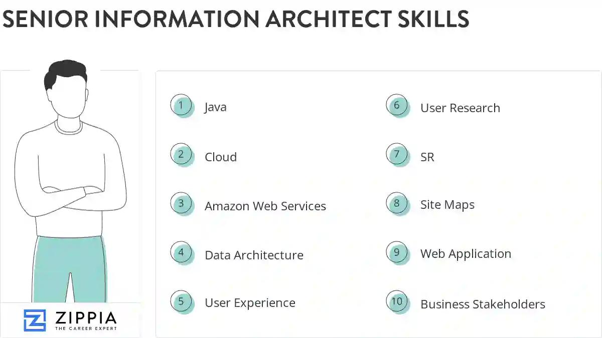 Senior information architect skills