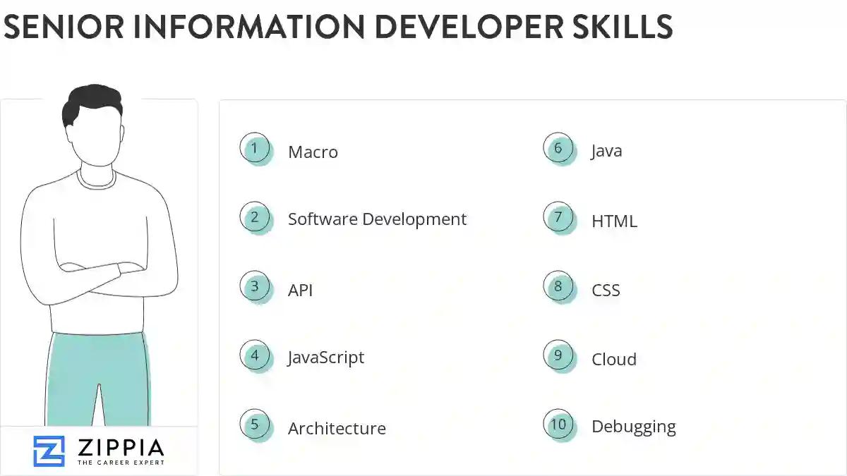Senior information developer skills