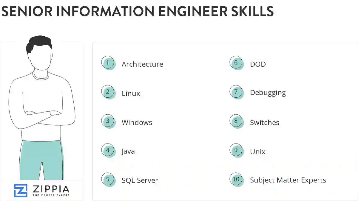 Senior information engineer skills