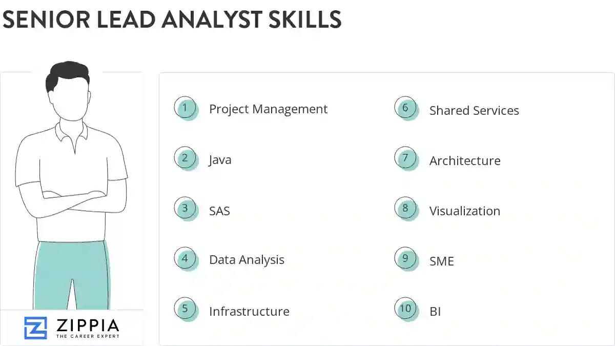 Senior lead analyst skills