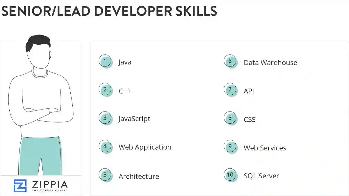 Senior/lead developer skills