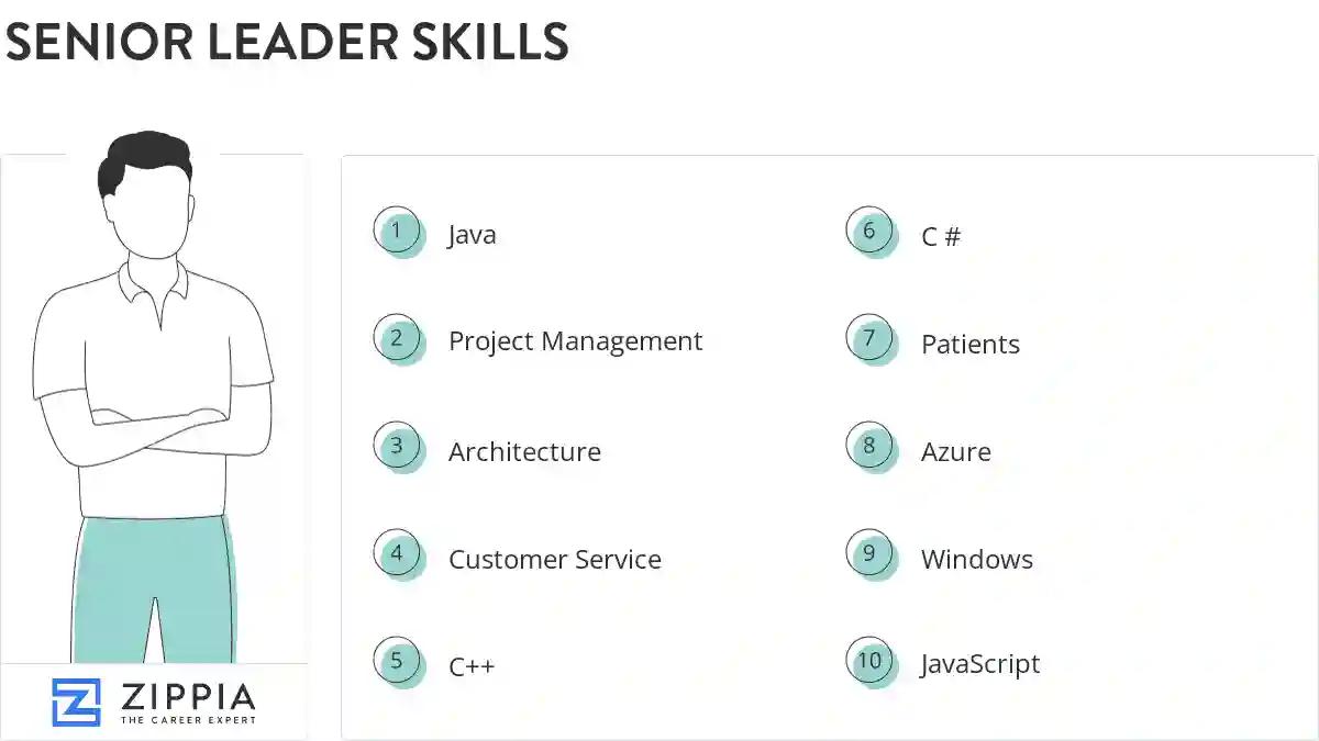 Senior leader skills