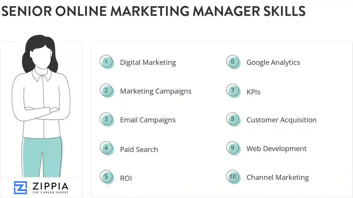 Senior online marketing manager skills