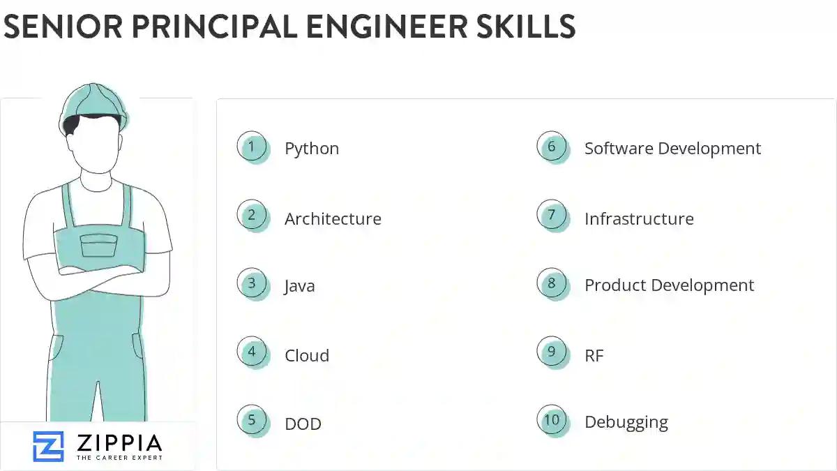 Senior principal engineer skills