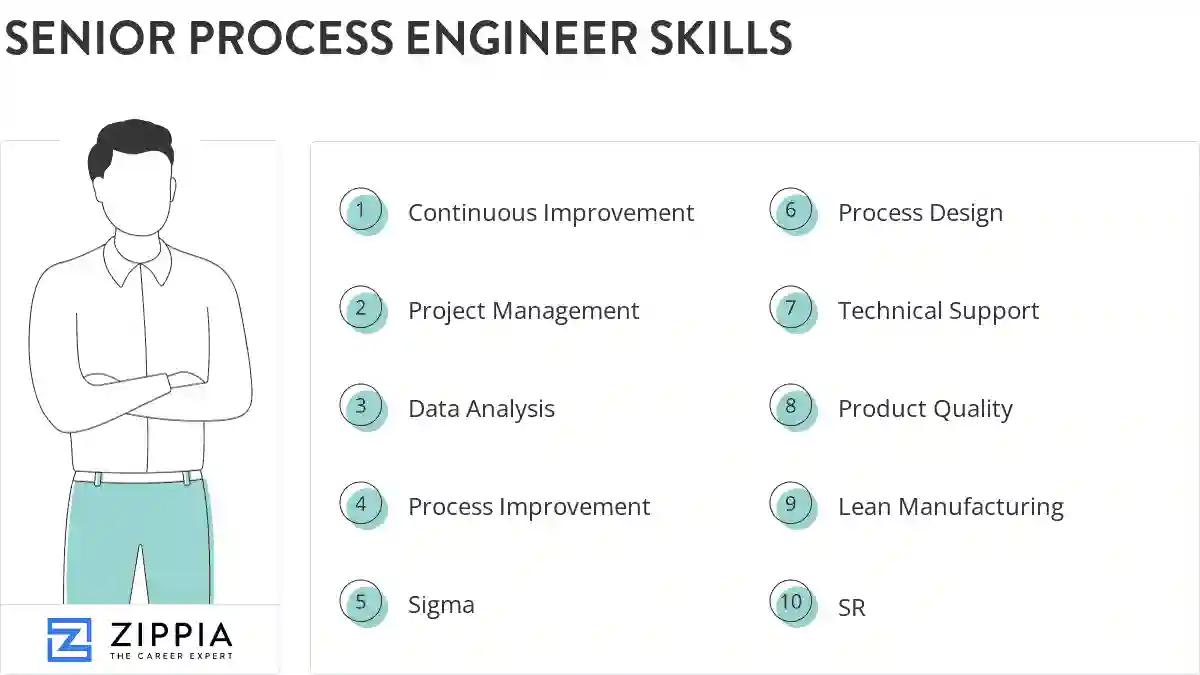 Senior process engineer skills