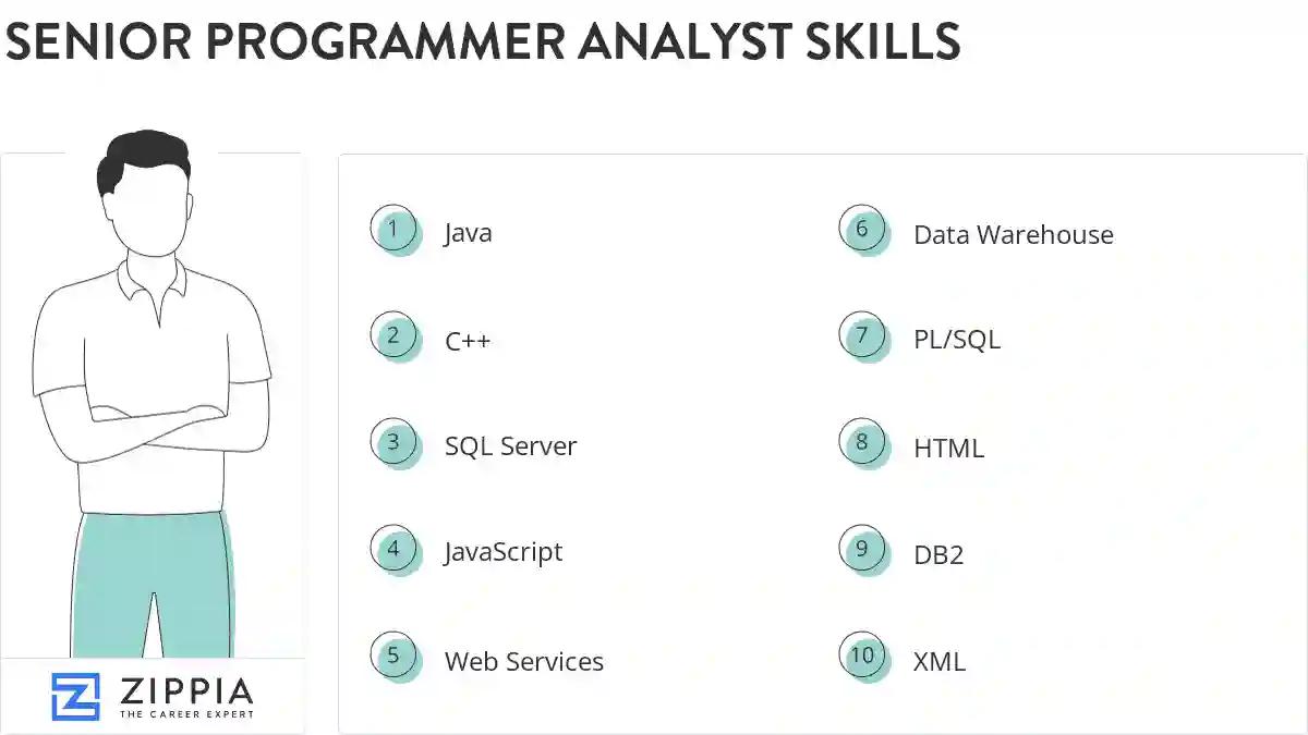 Senior programmer analyst skills