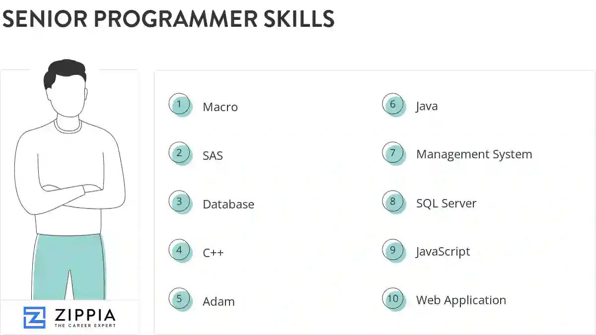 Senior programmer skills
