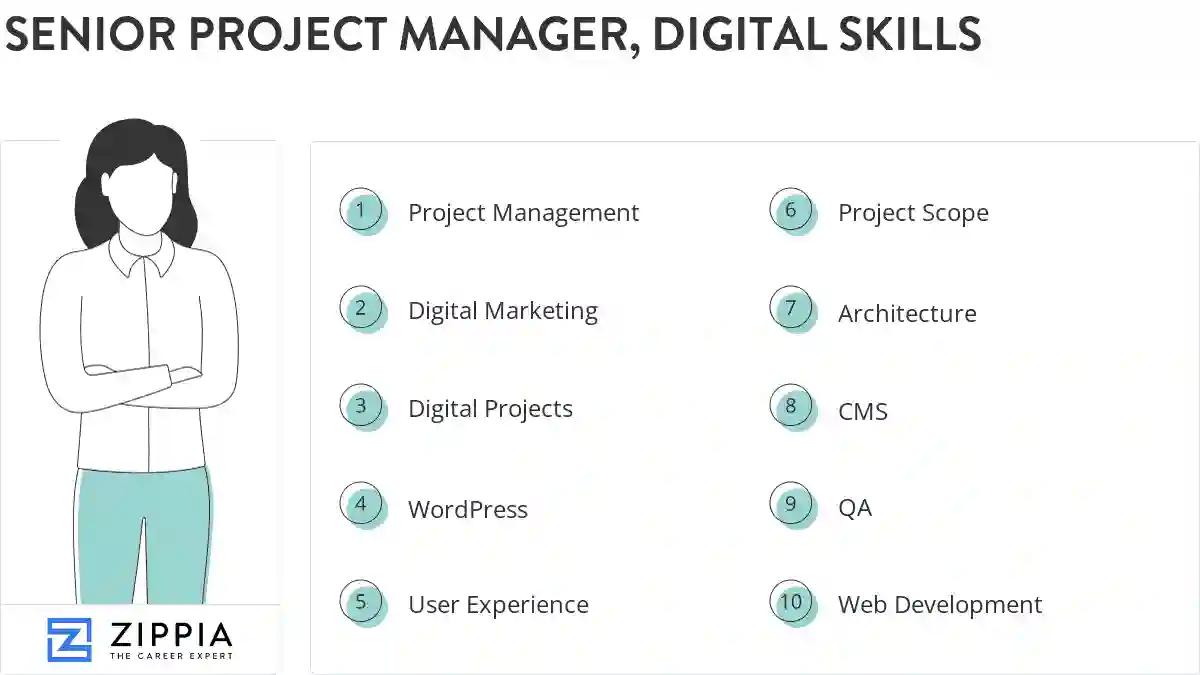 Senior project manager, digital skills