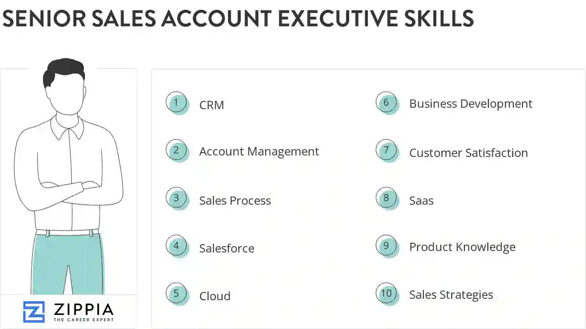 Senior sales account executive skills