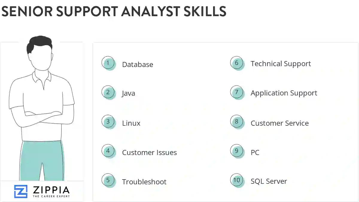 Senior support analyst skills