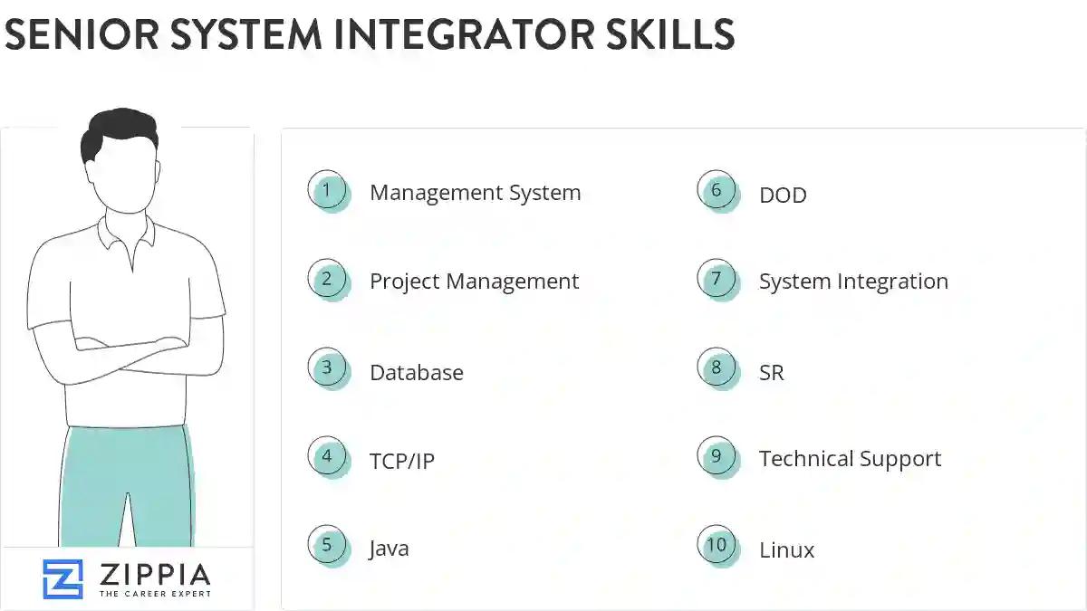 Senior system integrator skills