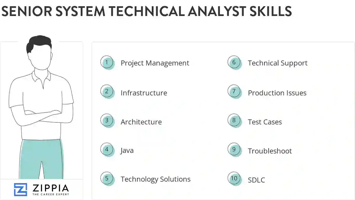 Senior system technical analyst skills