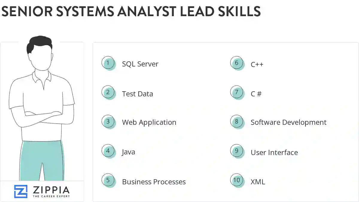 Senior systems analyst lead skills