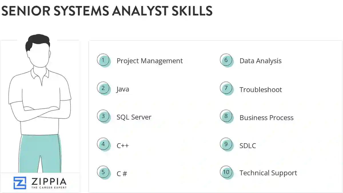 Senior systems analyst skills