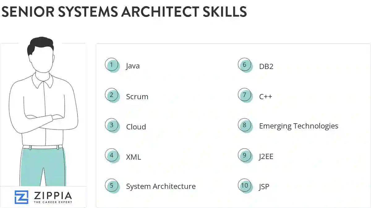 Senior systems architect skills