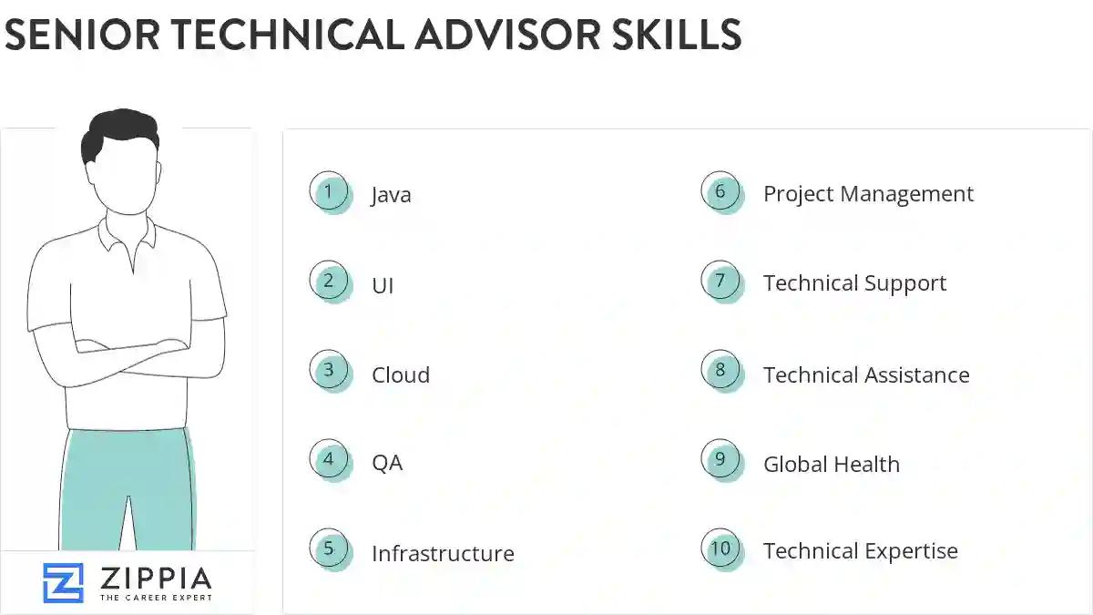 Senior technical advisor skills