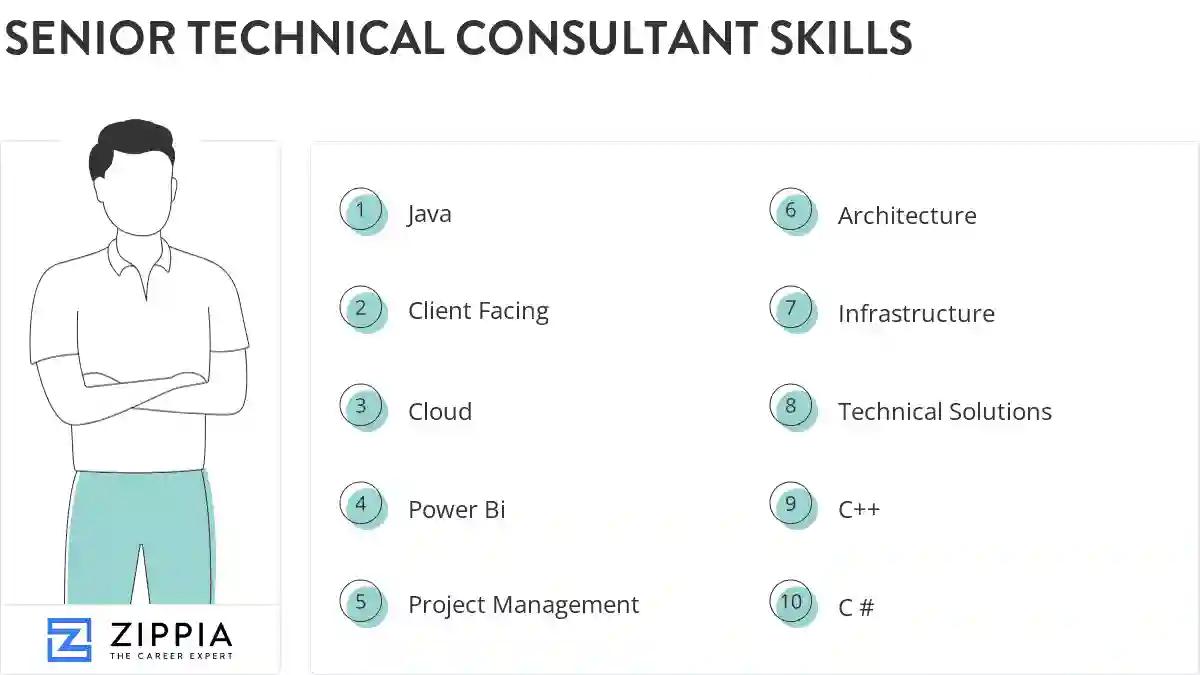 Senior technical consultant skills
