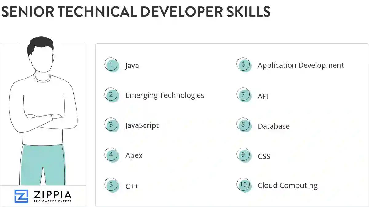 Senior technical developer skills