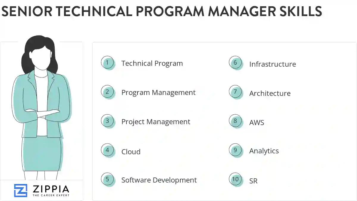 Senior technical program manager skills